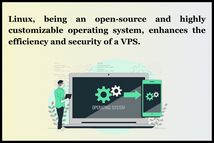 what is Linux VPS Hosting