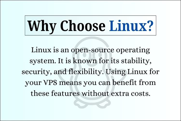 Linux is an open-source operating system. It is known for its stability, security, and flexibility. Using Linux for your VPS means you can benefit from these features without extra costs.